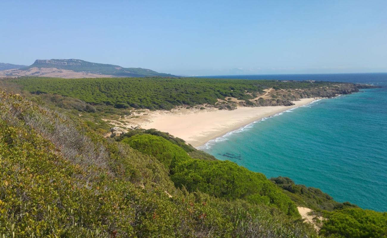 Foto de Playa Cañuelo con brillante arena fina superficie