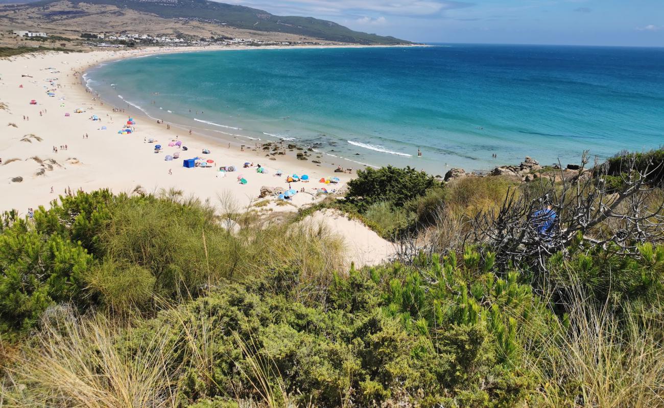 Foto de Playa de Bolonia con brillante arena fina superficie