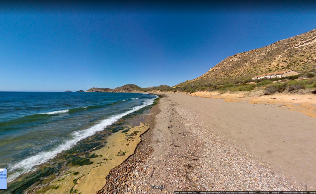 Foto de Playa las Palmeras con bahía mediana