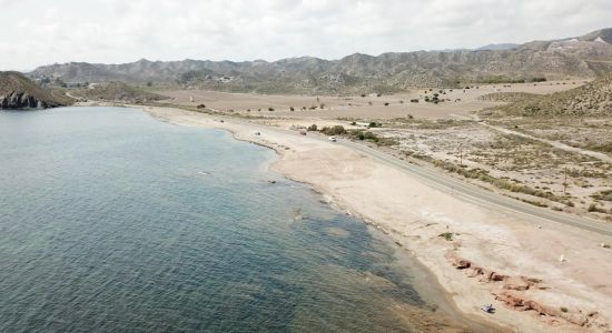 Playa de la Cola