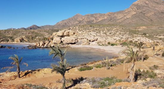 Playa de La Grúa