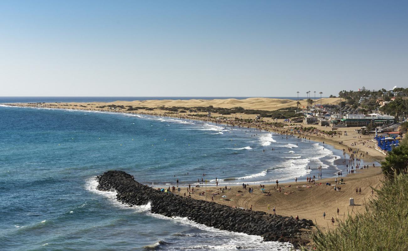 Foto de Playa de Maspalomas con brillante arena fina superficie