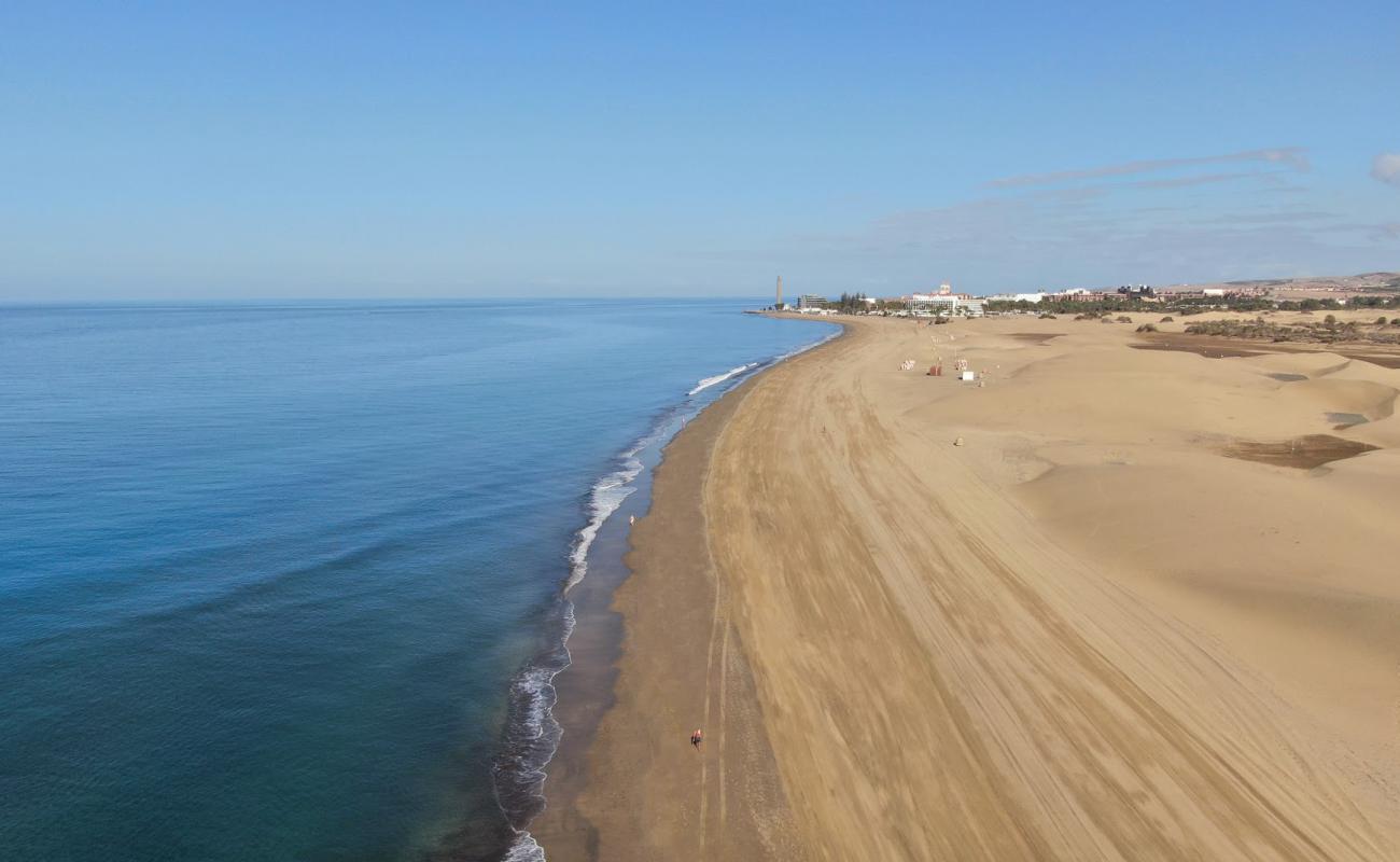 Foto de Playa de Maspalomas III. con brillante arena fina superficie