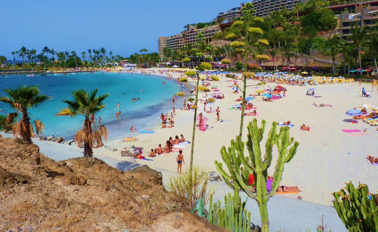 Foto de Playa de la Verga (Anfi del Mar) con arena fina blanca superficie