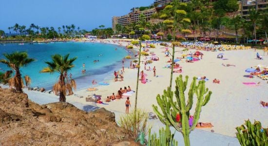 Playa de la Verga (Anfi del Mar)