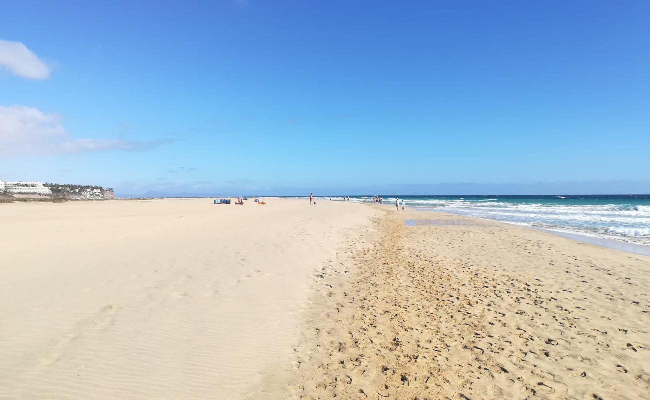 Foto de Playa Gaviotas con brillante arena fina superficie