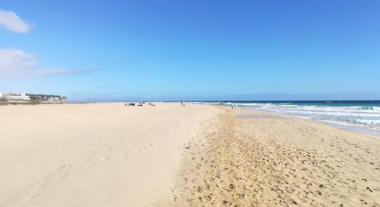 Playa Gaviotas