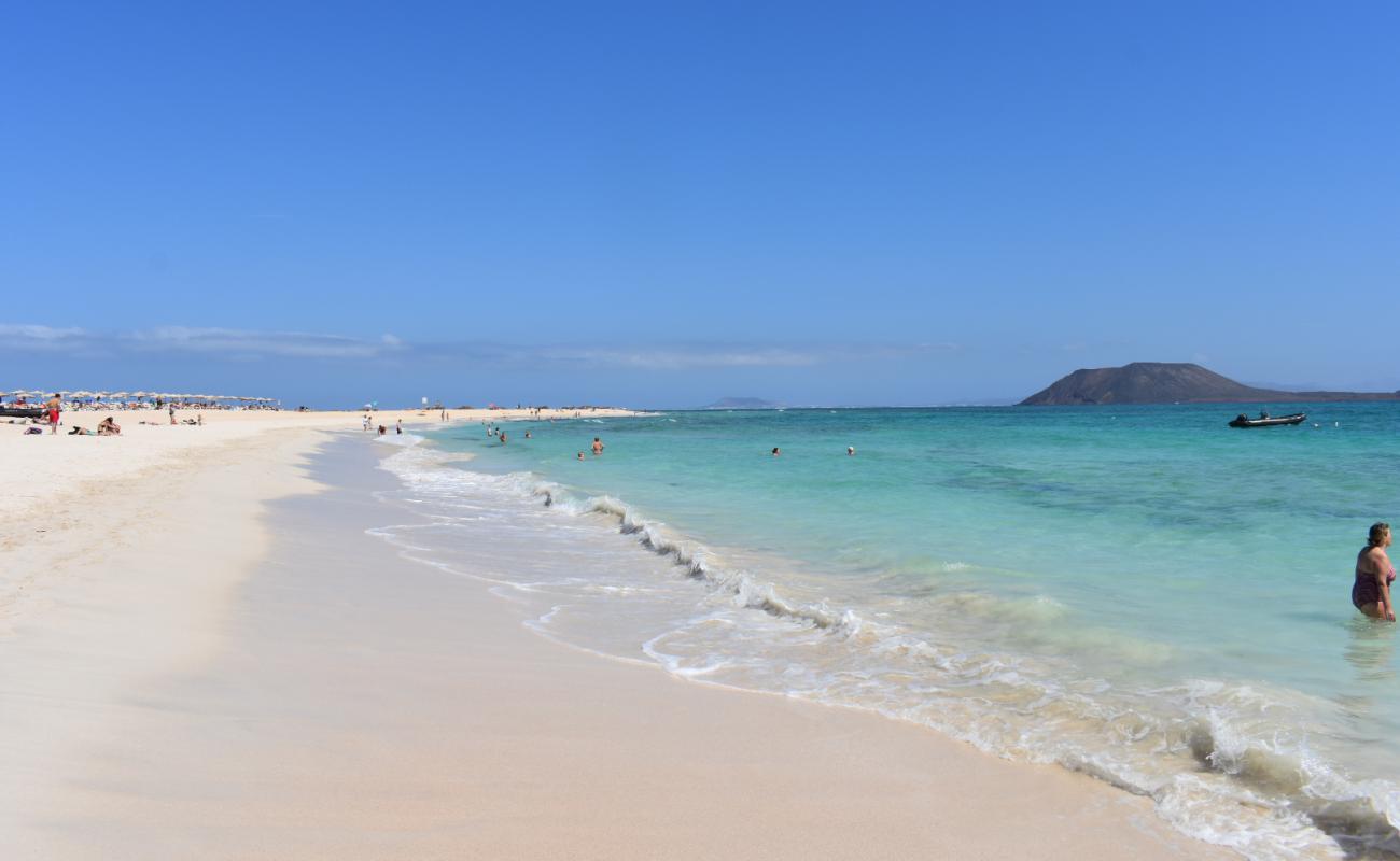 Foto de Playa De Corralejo con brillante arena fina superficie