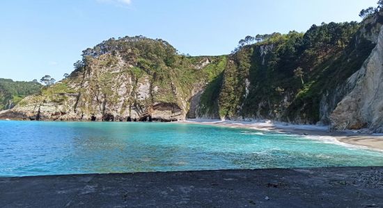 Playa de el Castrillón