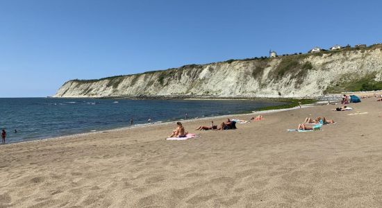 Arrigunagako beach