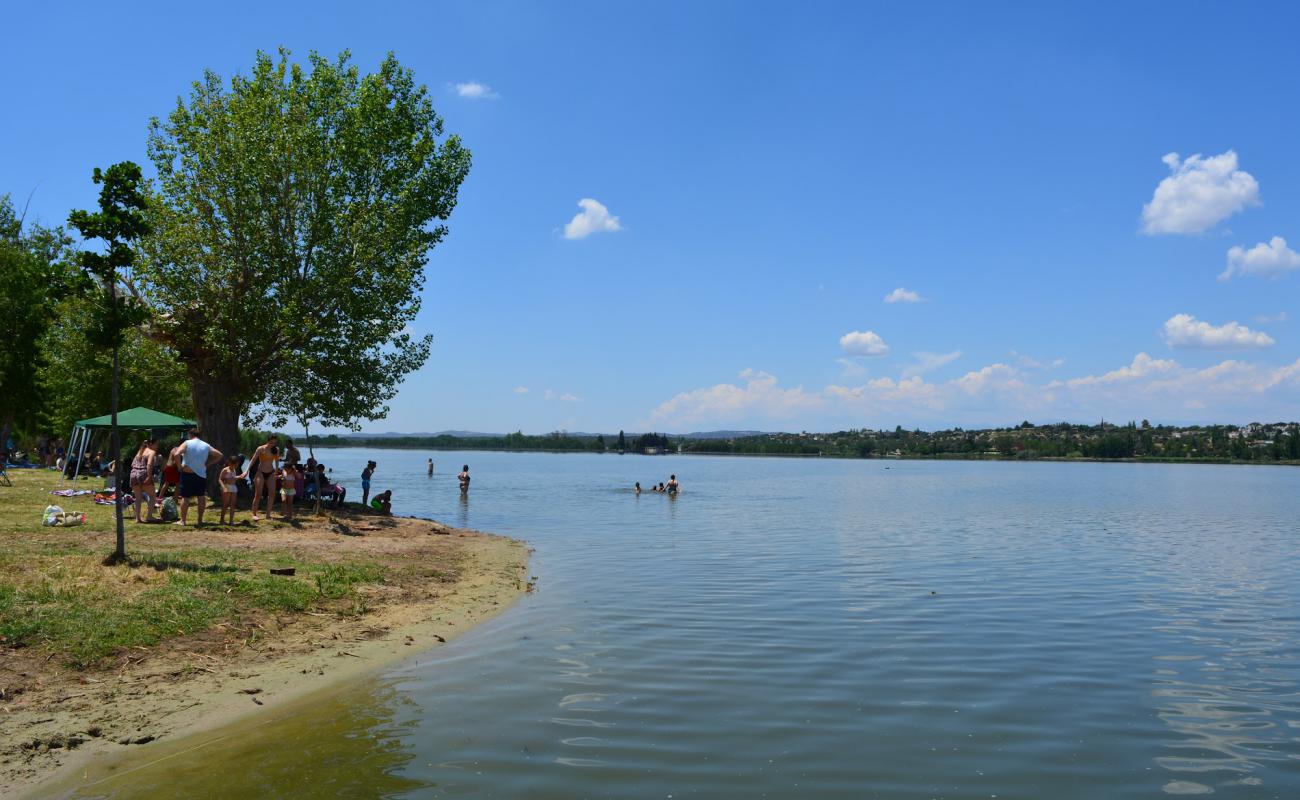 Foto de Zona de bano del embalse de Cazalegas con hierba superficie