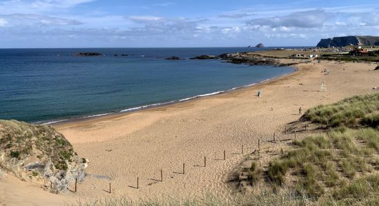 Playa de Verdicio