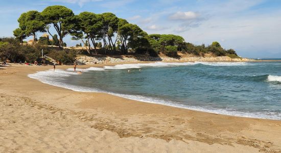 Playa Portitxol