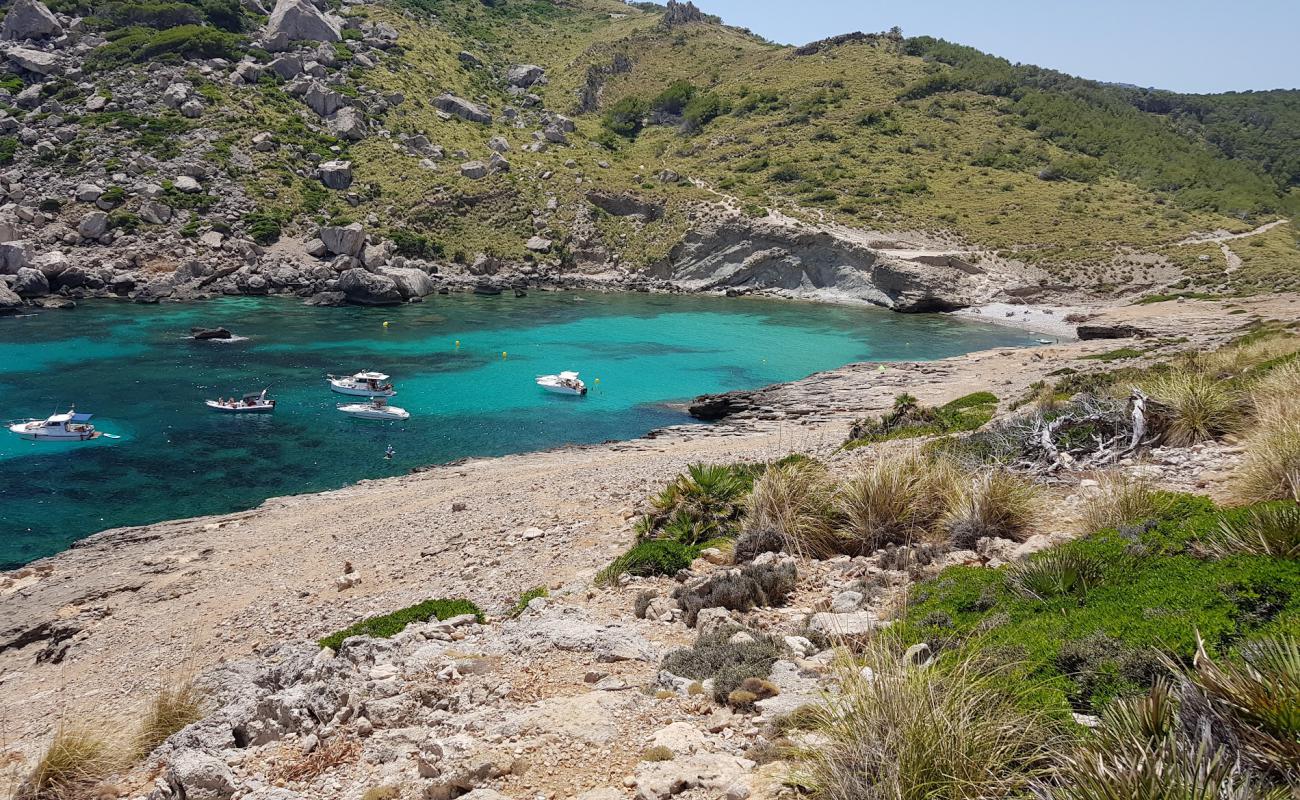 Foto de Cala Figuera con guijarro gris superficie