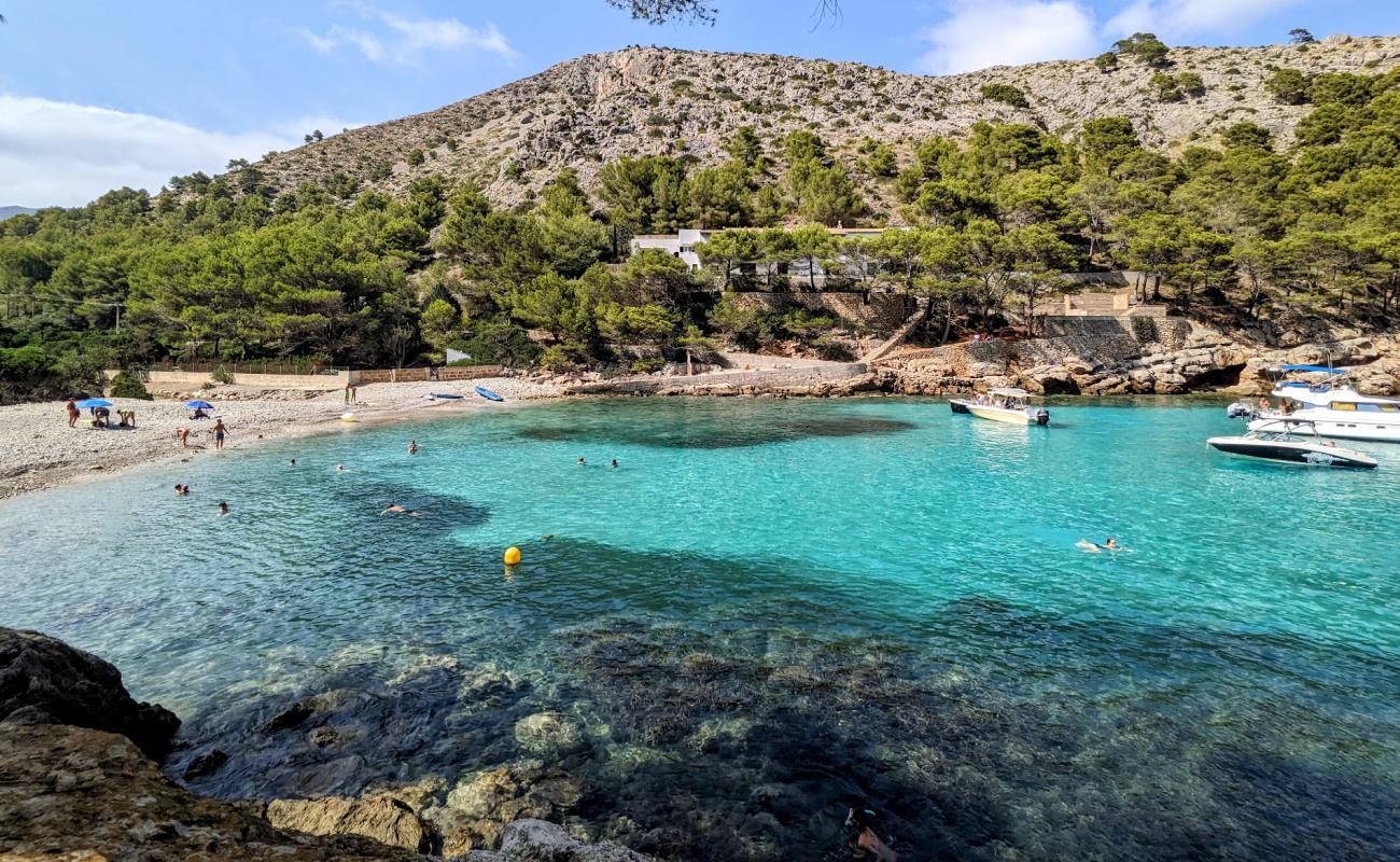 Foto de Cala Murta con guijarro gris superficie