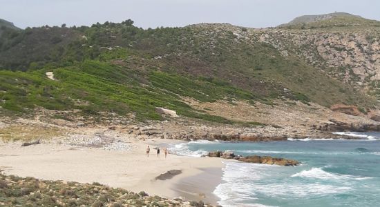 S’Arenalet des Verger Beach