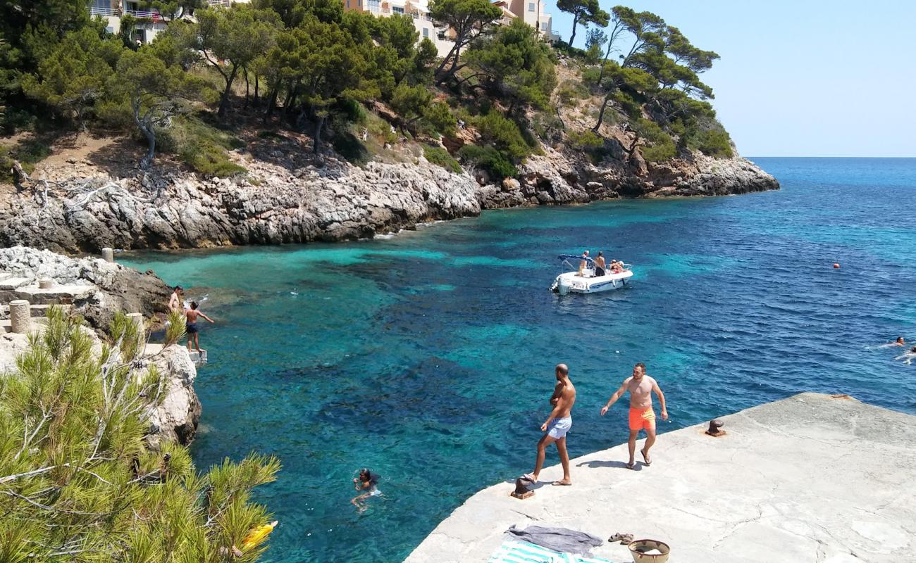 Foto de Cala Serch con guijarro fino claro superficie