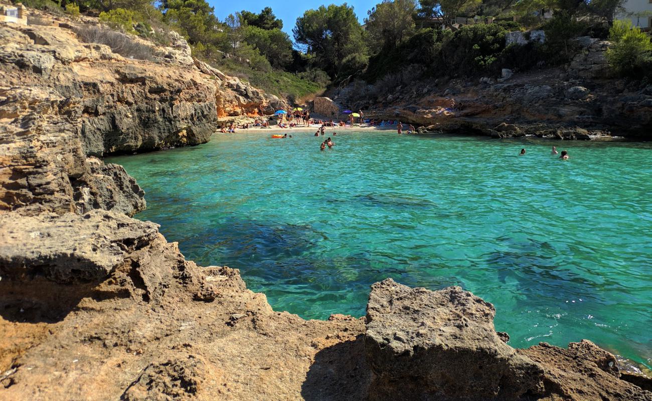 Foto de Cala Fort con guijarro ligero superficie