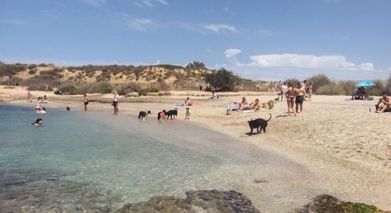 Playa Per a Cans