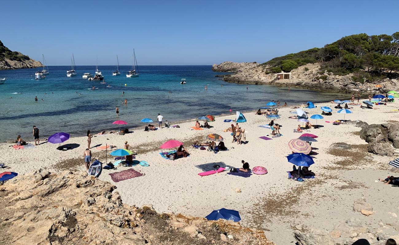 Foto de Ses Cavasses Beach con piedra superficie