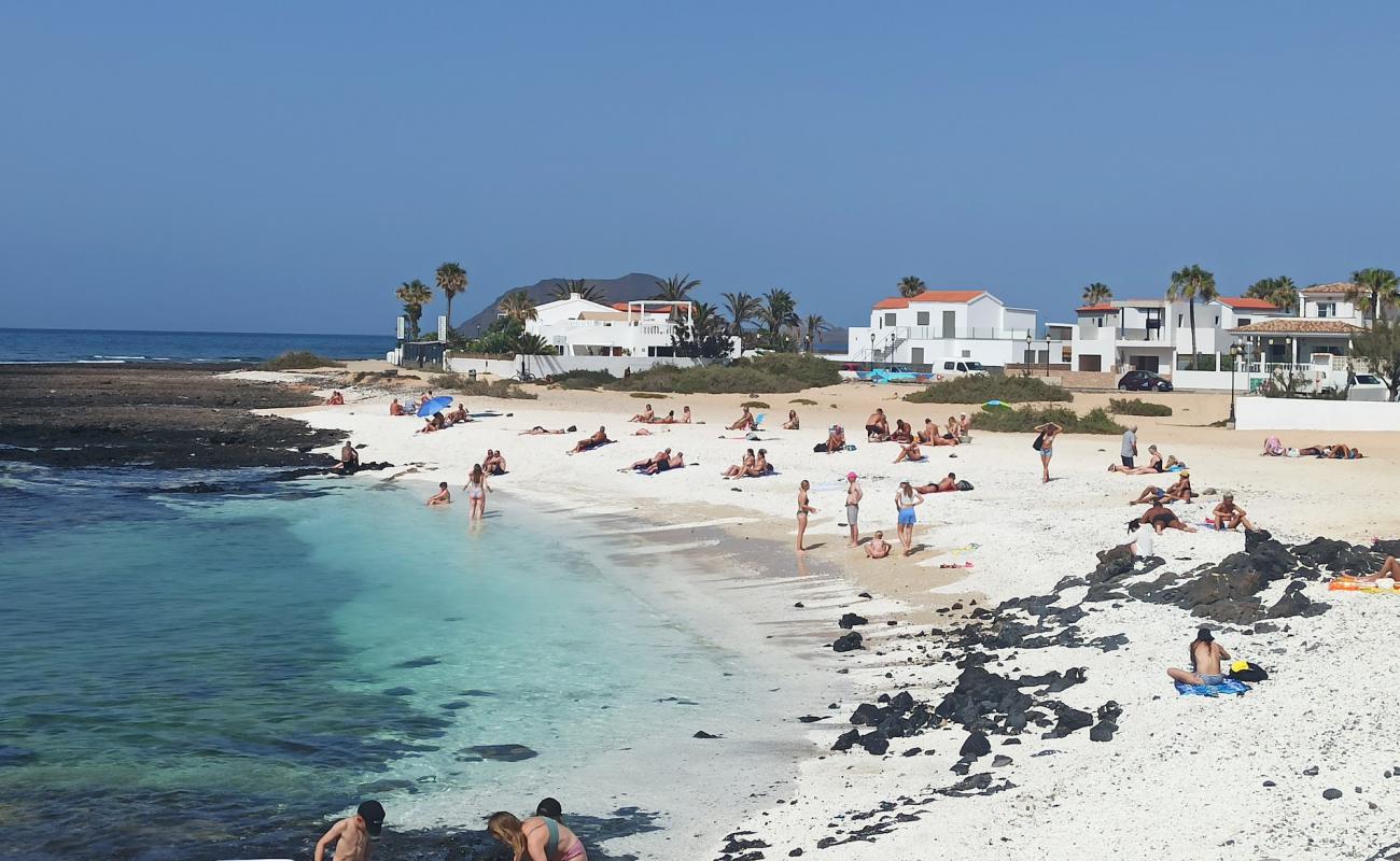 Foto de Vista Lobos Beach con arena brillante y rocas superficie