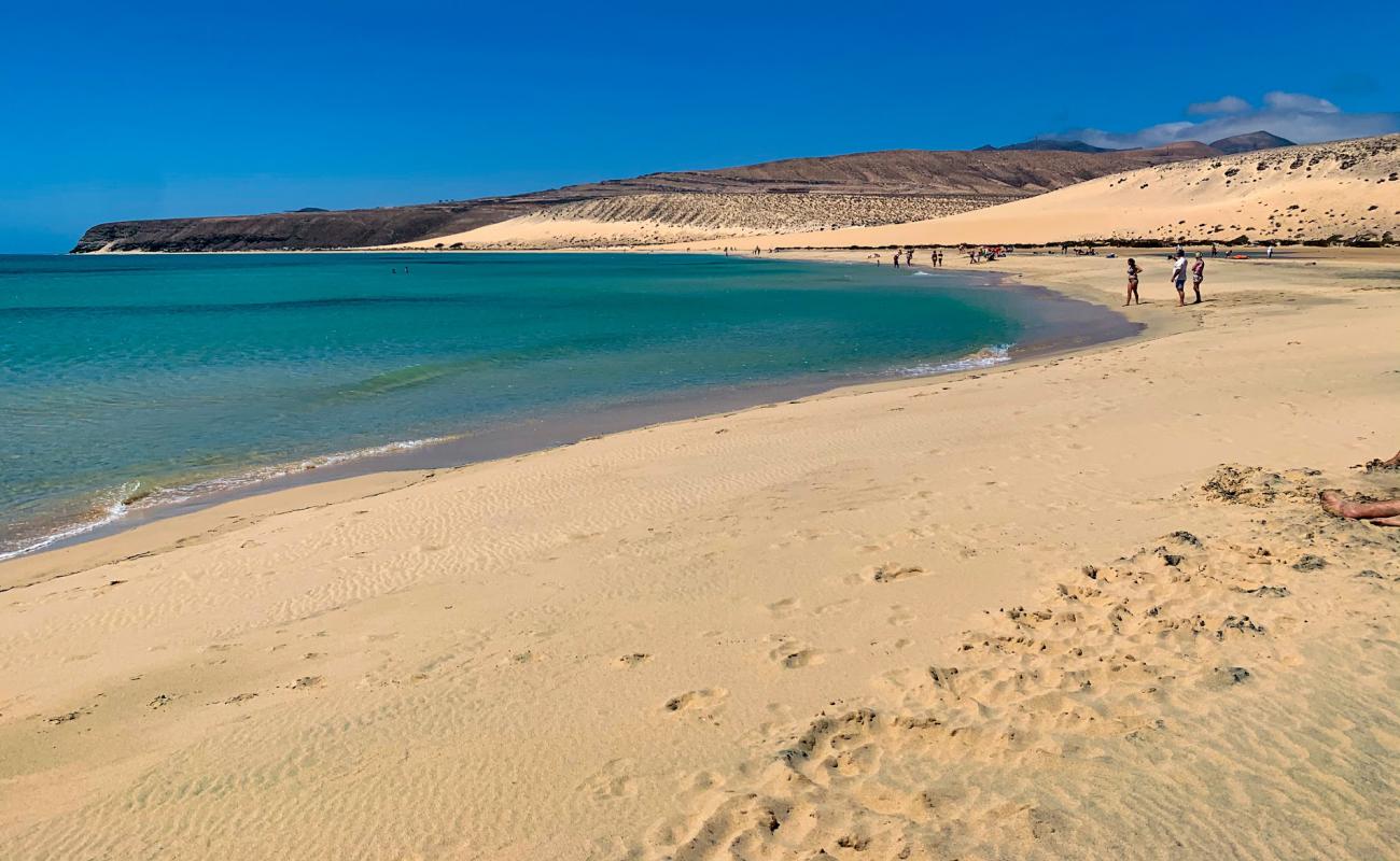 Foto de Risco del Paso Beach con arena brillante superficie