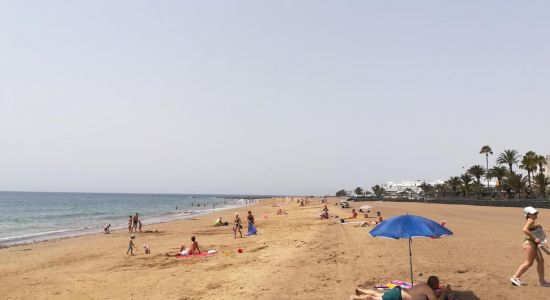 Matagorda Beach