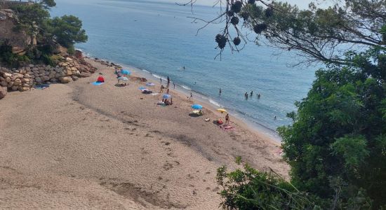 Cala Dels Vienesos Beach