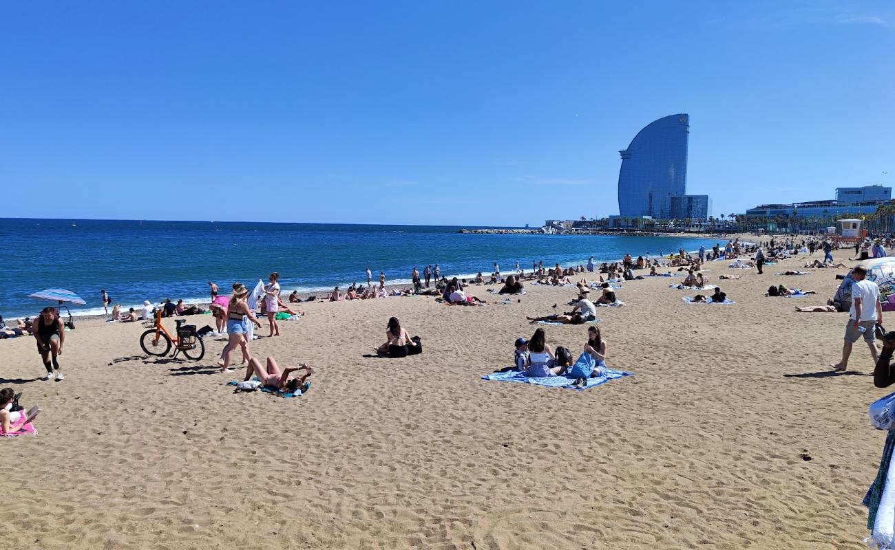 Foto de San Sebastian Beach con arena brillante superficie