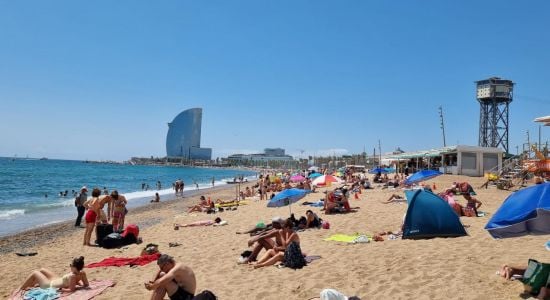 Sant Miquel Beach