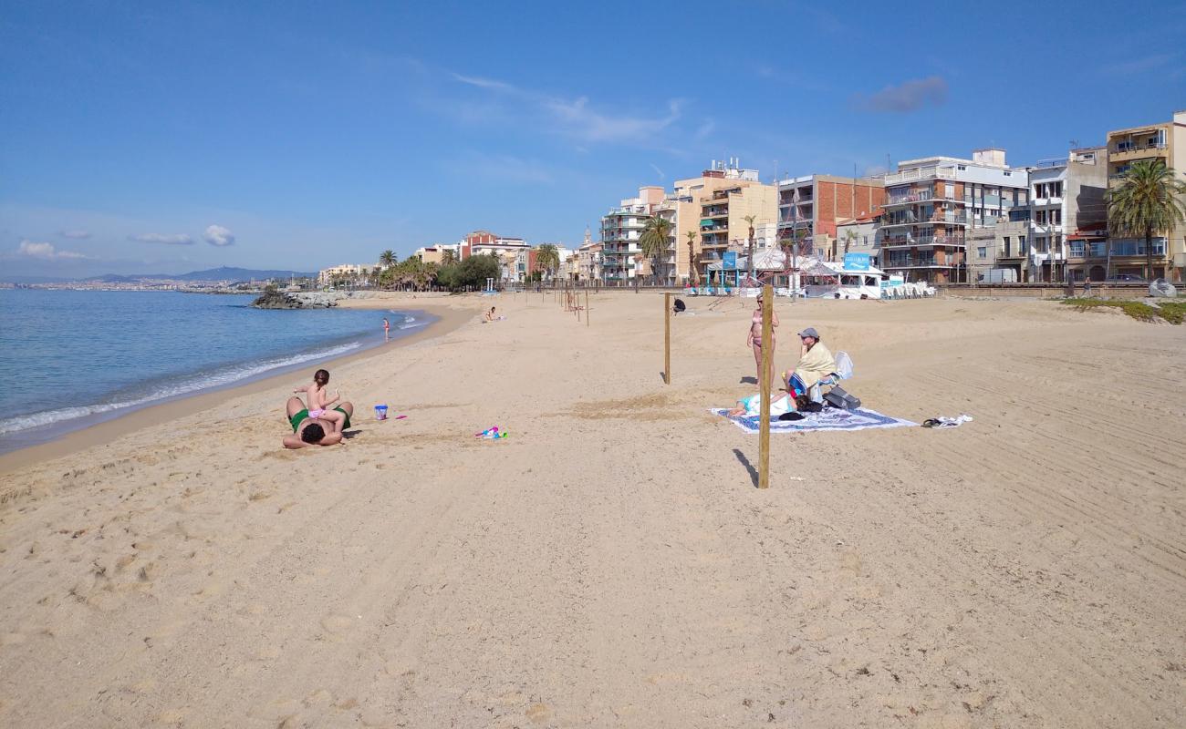 Foto de Bellamar Beach con arena brillante superficie