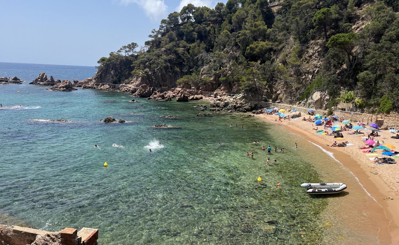 Foto de Rosamar Cala Beach con arena brillante superficie