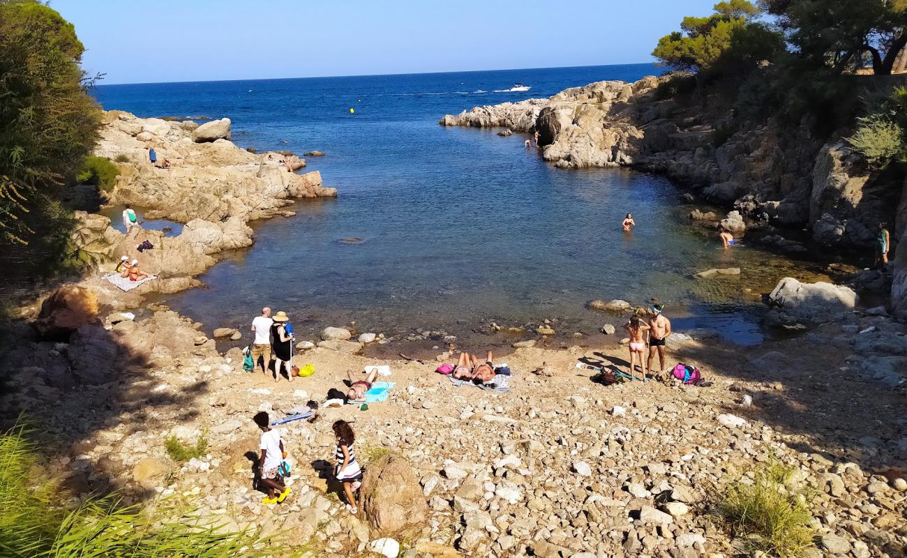 Foto de Cala Pedrosa Beach con piedra superficie