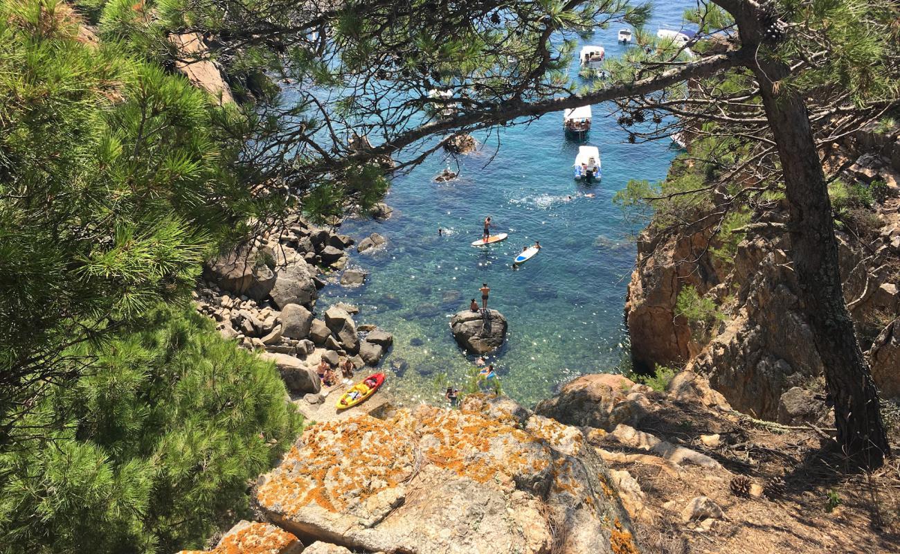 Foto de Foradada Beach con piedra superficie