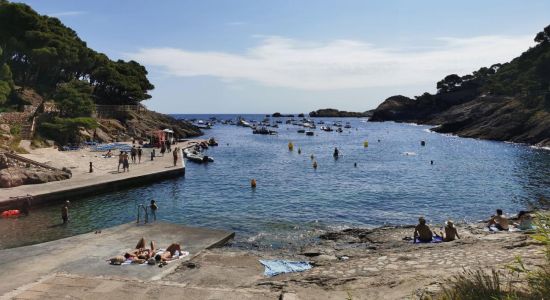 Cala Aiguafreda Beach