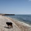 Punta de los Cosis Beach