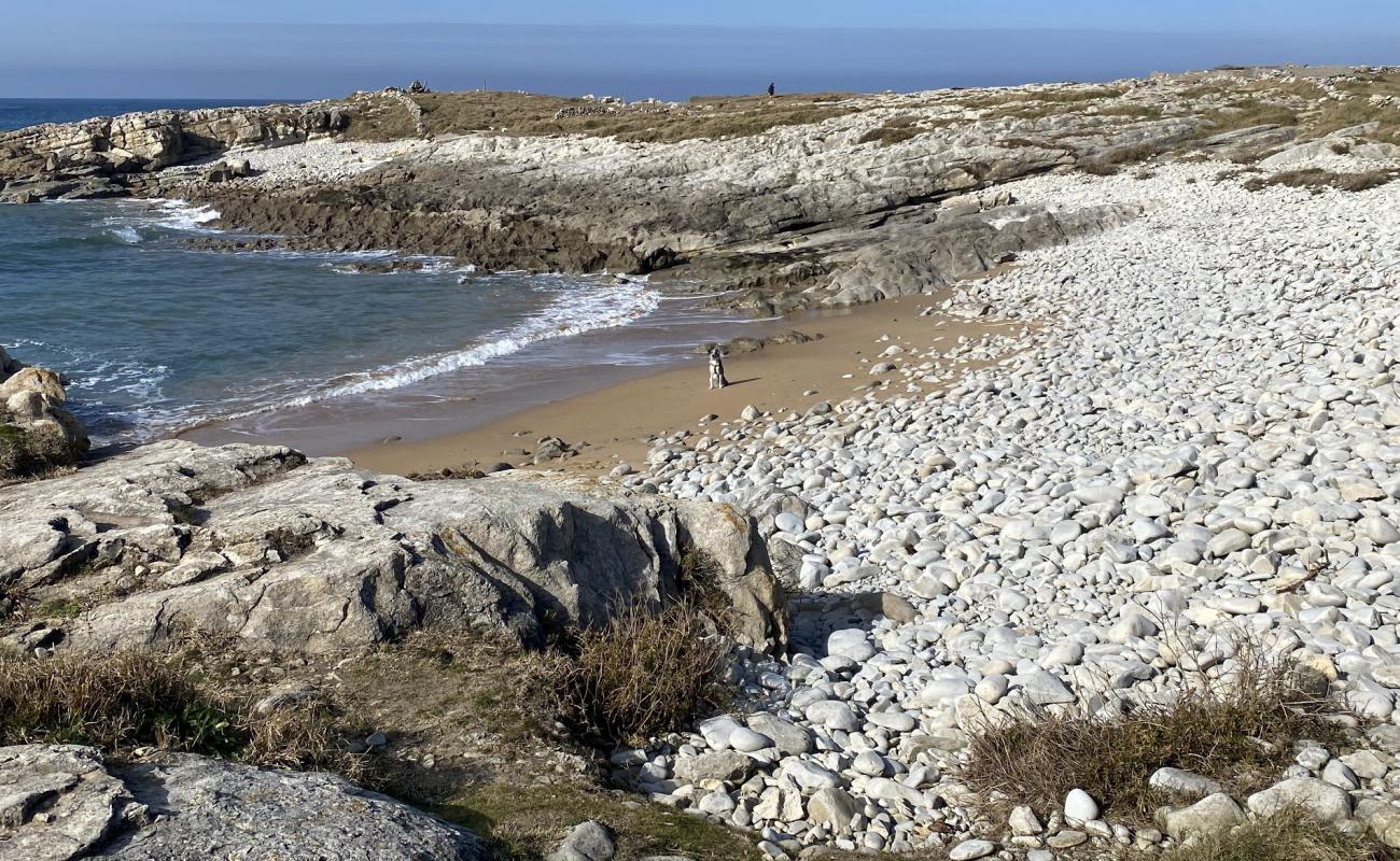 Foto de Rosamunda Beach con guijarro ligero superficie