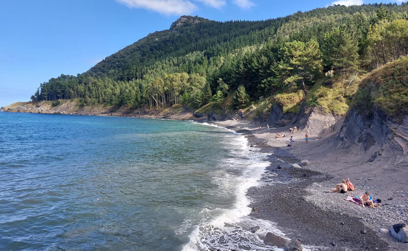 Foto de Ogella Beach con guijarro gris superficie