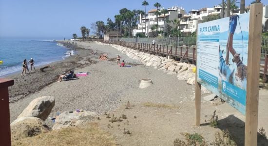 Canina Ventura del Mar Beach