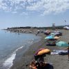 Perros Torre del Mar Beach