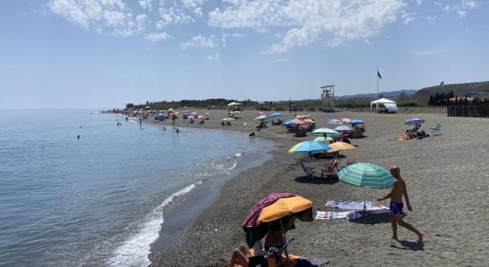 Perros Torre del Mar Beach