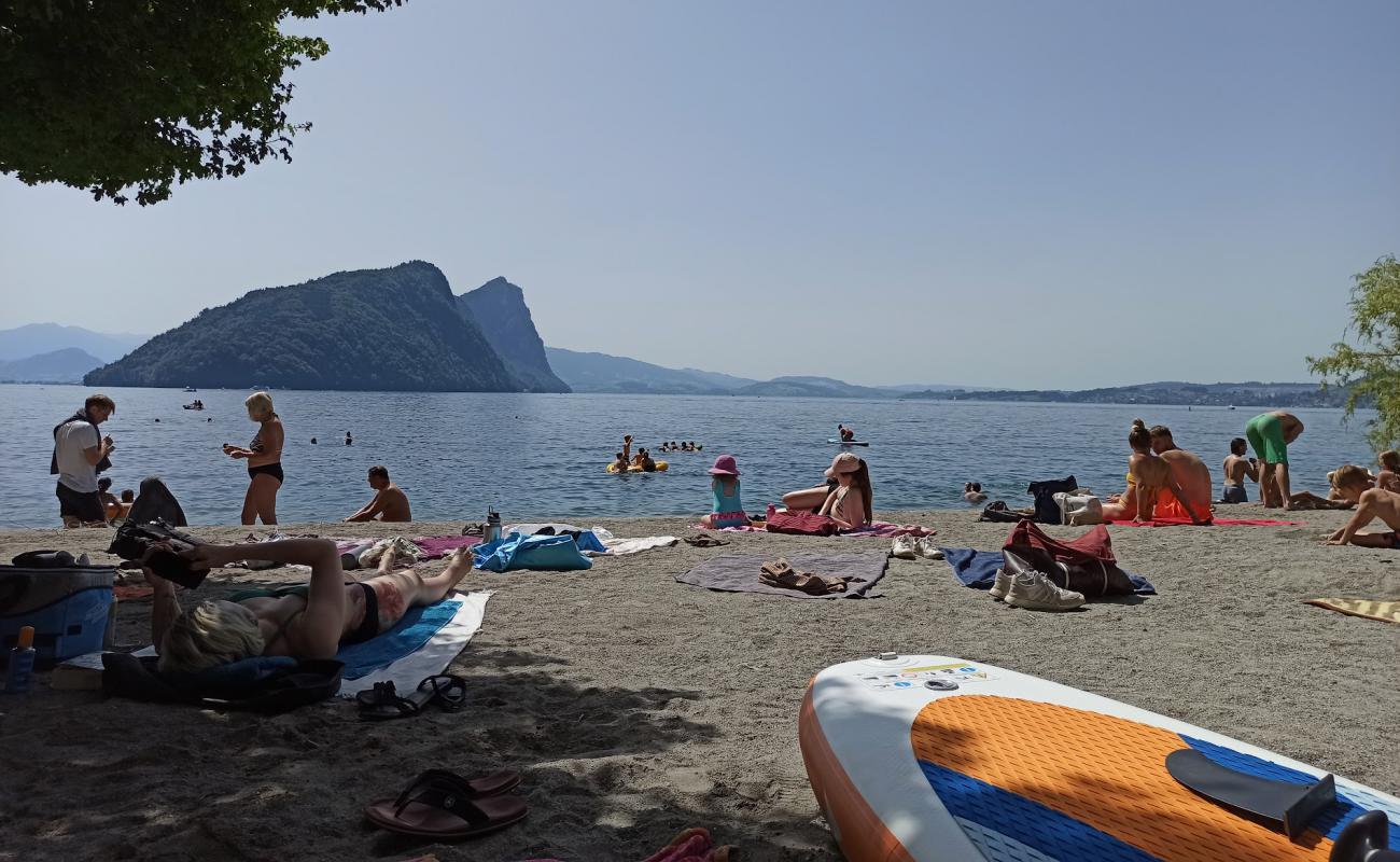 Foto de Vitznau Beach con guijarro fino claro superficie