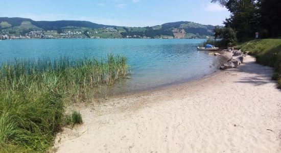 Bergwald Beach