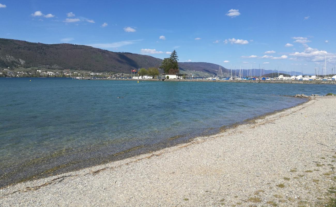 Foto de Erlach Strand con guijarro fino gris superficie