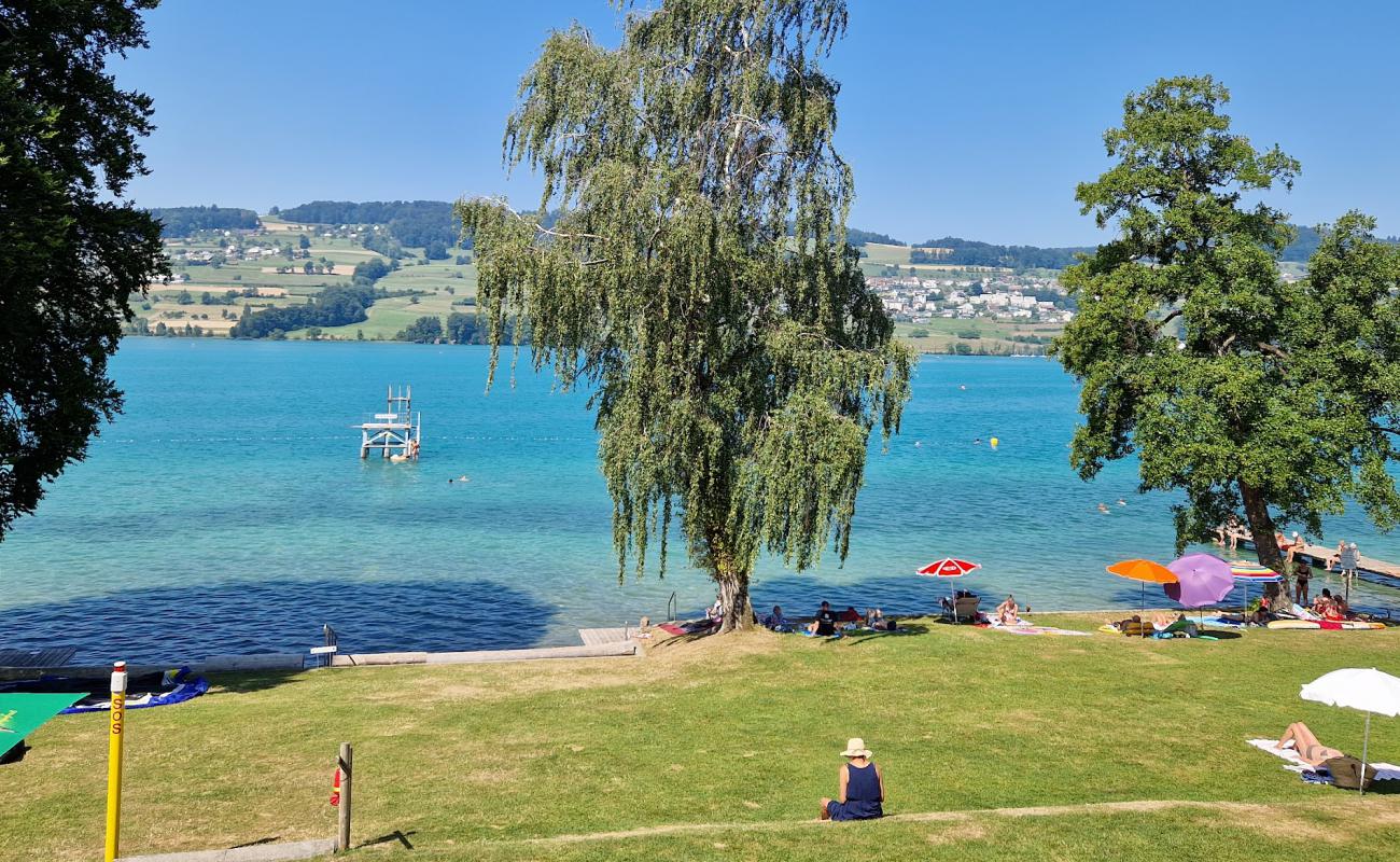 Foto de Strandbad Seerose con hierba superficie