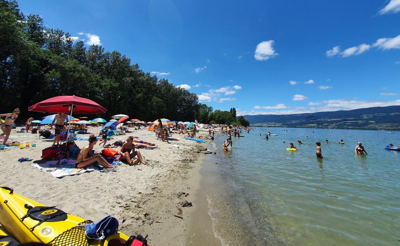 Foto de Plage des Pins d'Yvonand con arena brillante superficie