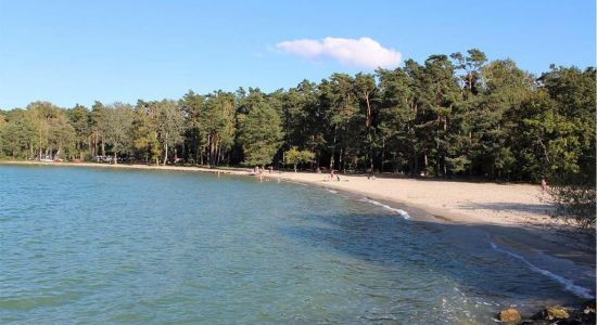 Plage du Camping VD 8