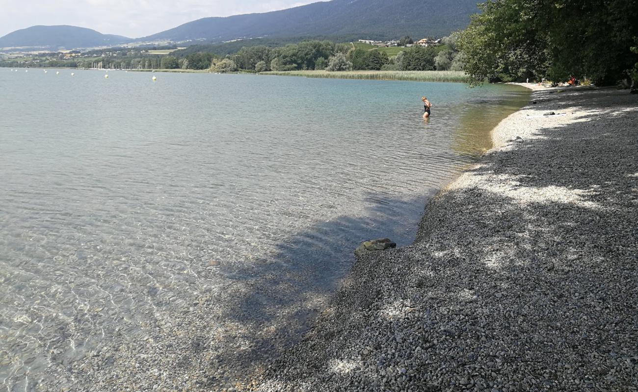 Foto de Plage de la Pointe du Grain con guijarro fino gris superficie