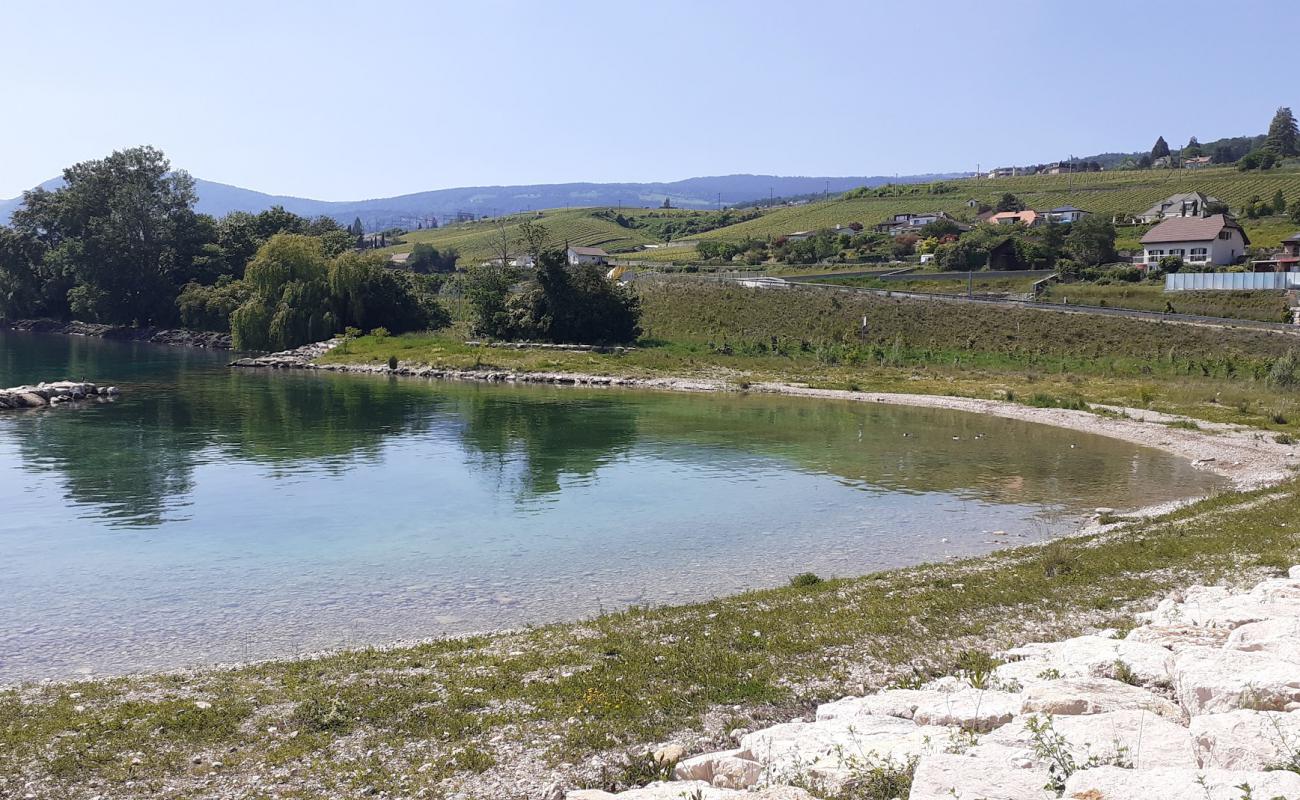 Foto de Plage de Serrieres con piedra superficie