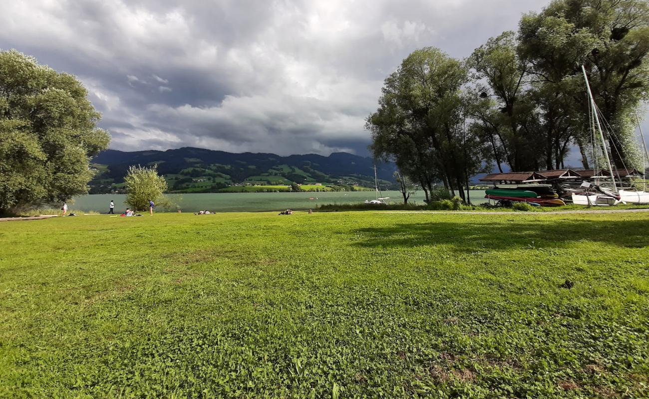 Foto de Plage Lac Gruyere con hierba superficie